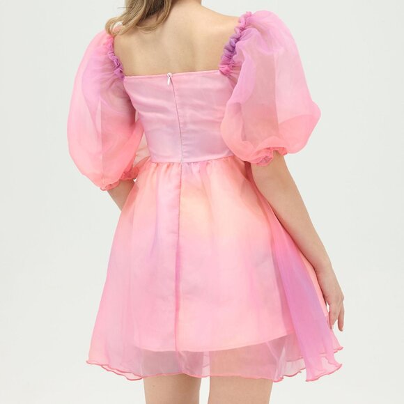 NWT Cider Heart on Fire Pink Ombre Tulle Dress (Size M / 6) - Picture 3 of 9
